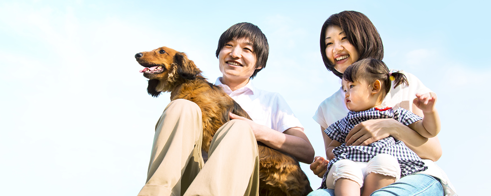 自然治癒力は生き物みんなが持っている生きる力です。