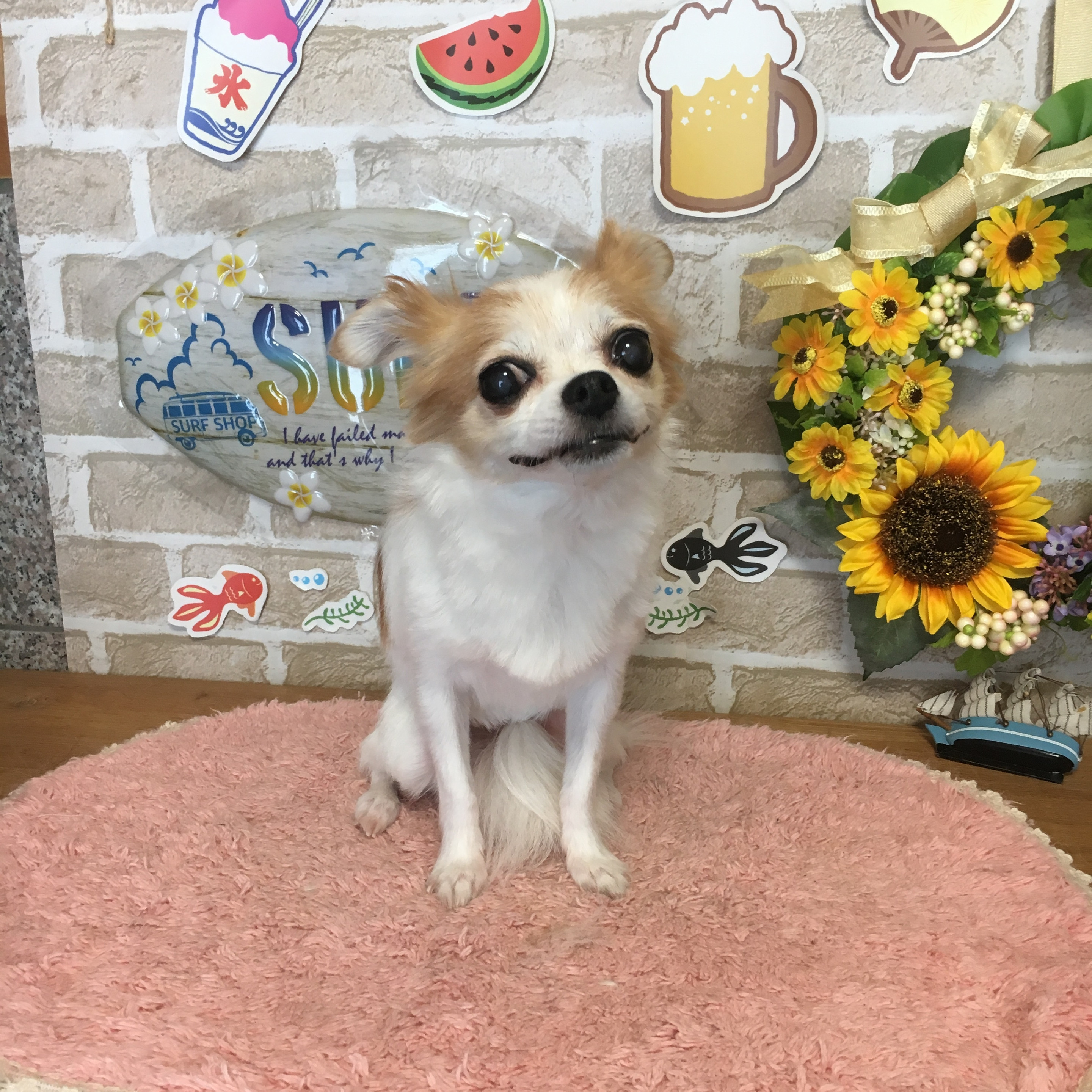 モモ
