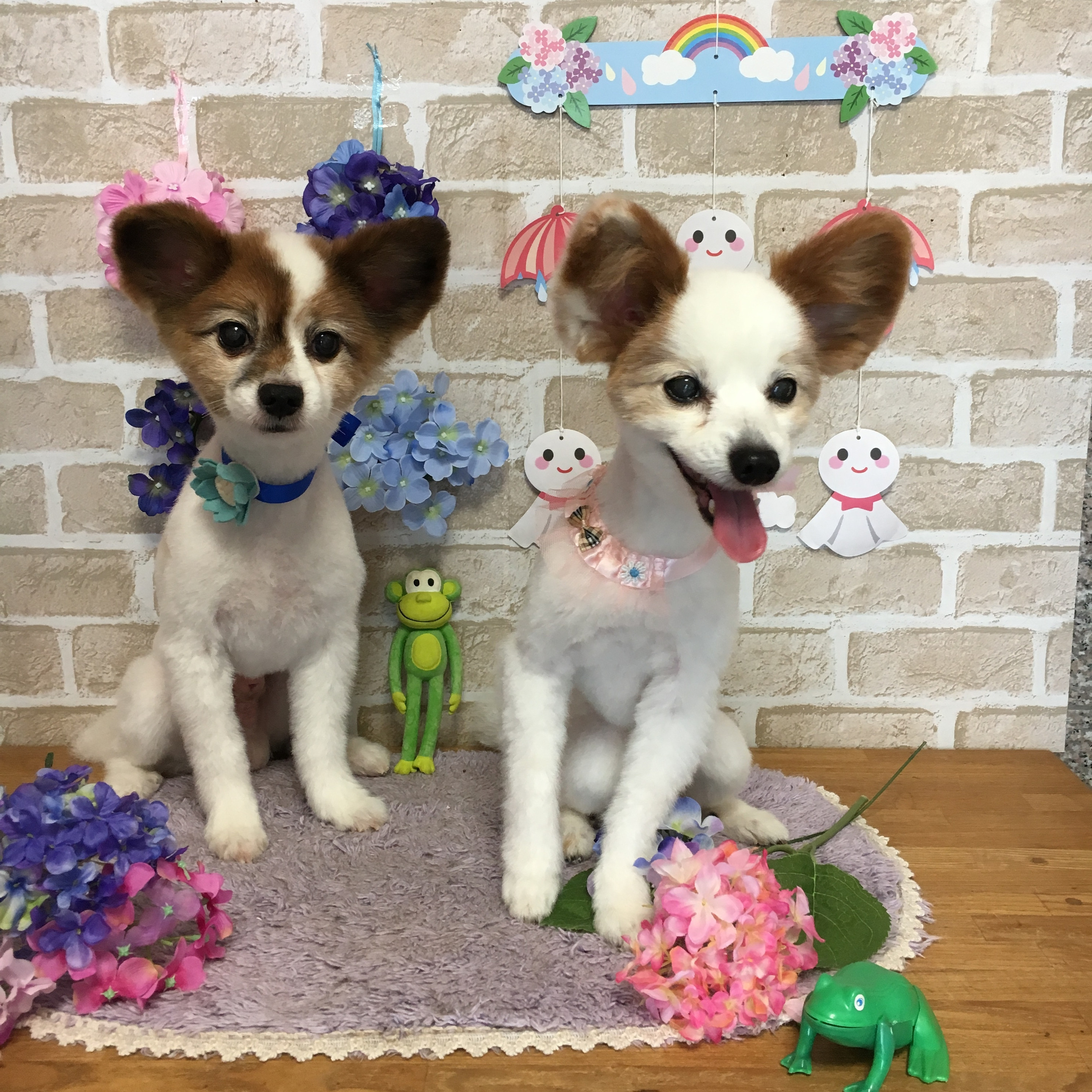 ミラクルエンジェル