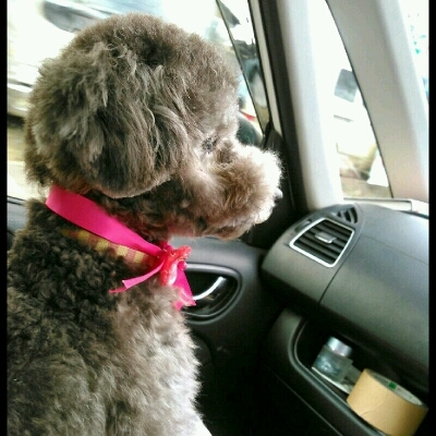 imgg51965214_1424360280301