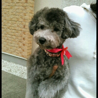 imgg51965214_1424360280303