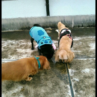 imgg51965214_1424671142802