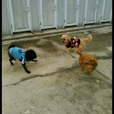 imgg51965214_1424671142803