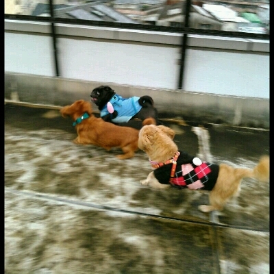 imgg51965214_1424671142804