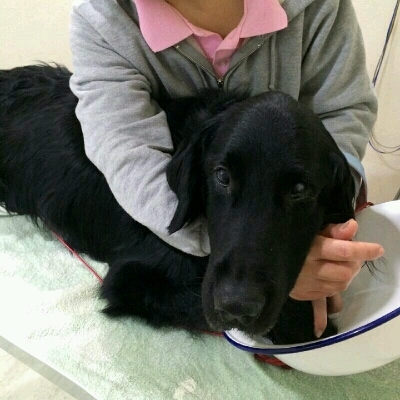 imgg51965214_1426513243804