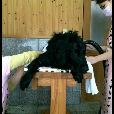 imgg51965214_1426513243805