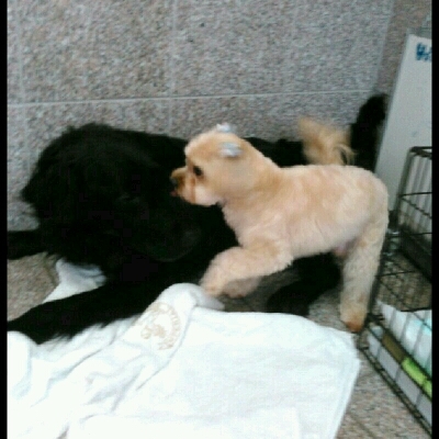 imgg51965214_1426513243806