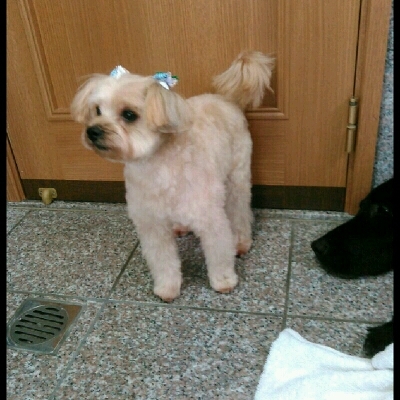 imgg51965214_1426514256518