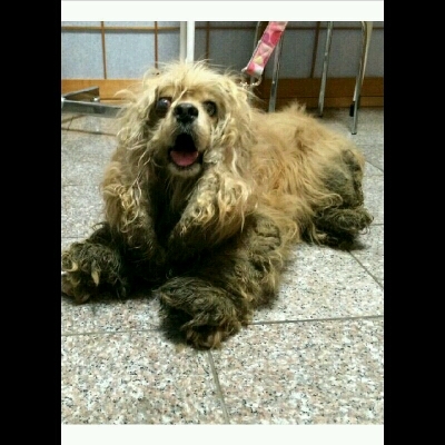 imgPL606247717_1444826871782