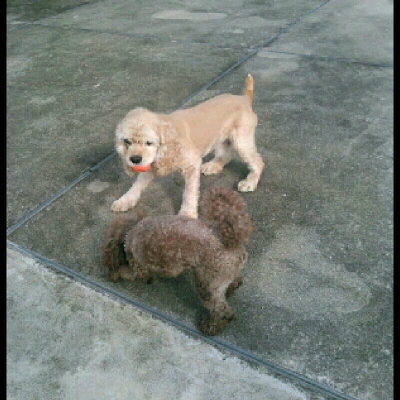 imgPL606247717_1444826871785