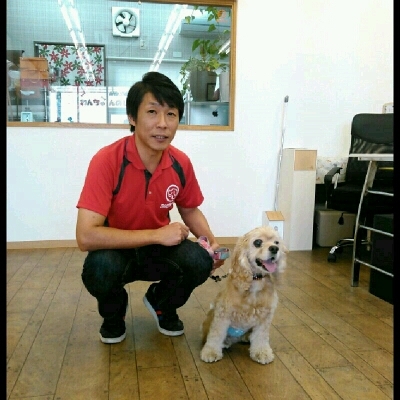 imgPL606247717_1445581491775