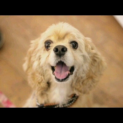 imgPL606247717_1445581491776