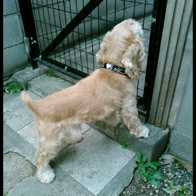 imgPL606247717_1445581491778