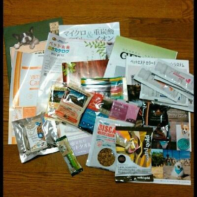 imgPL606247717_1447252282802