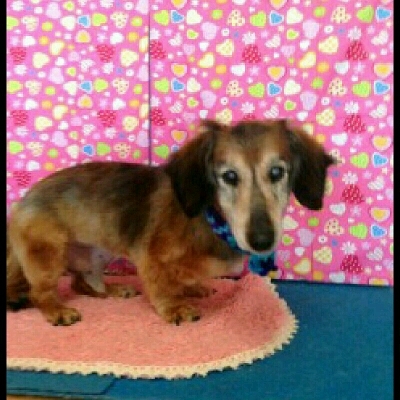 imgPL606247717_1452946050959