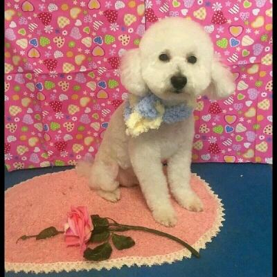 imgPL606247717_1453214179255