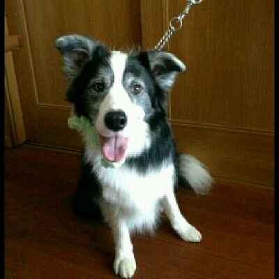 imgPL606247717_1453550286906