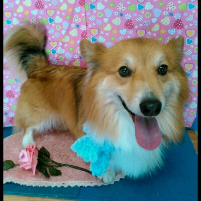 imgPL606247717_1455771323553