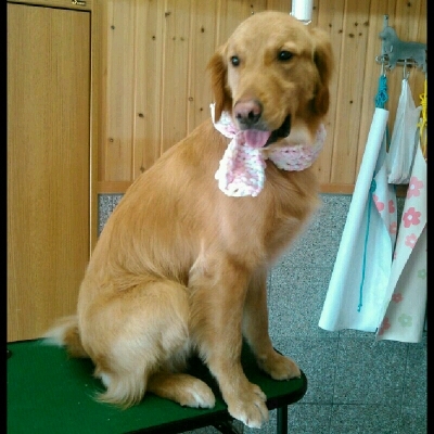 imgPL606247717_1456404651623