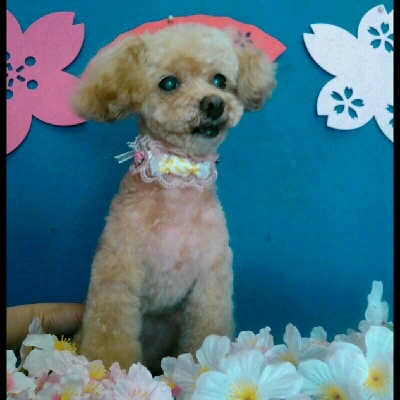 imgPL606247717_1457767462039