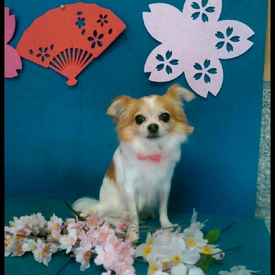 imgPL606247717_1457767462041