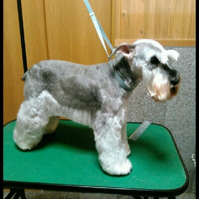 imgPL606247717_1458222541131