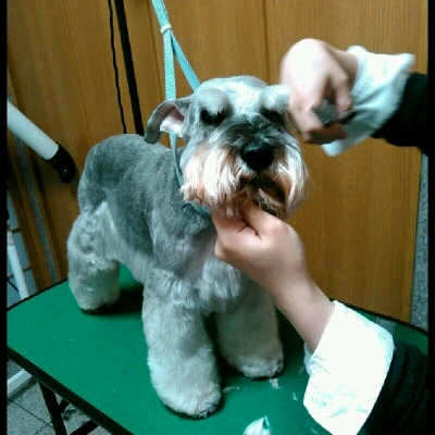 imgPL606247717_1458222541133