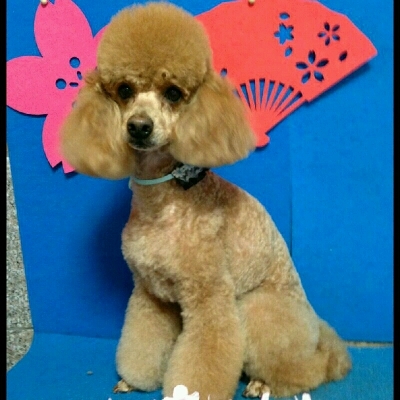 imgPL606247717_1458311925486