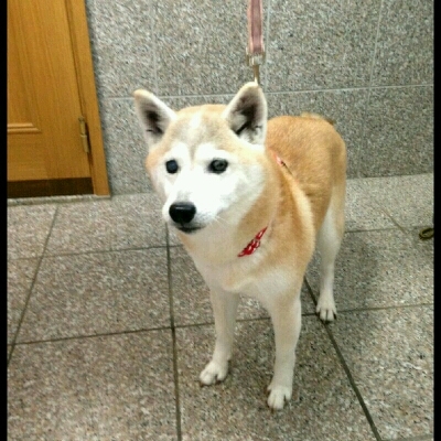 imgPL606247717_1458311925489