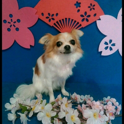 imgPL606247717_1460203372295