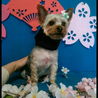 imgPL606247717_1460203372296