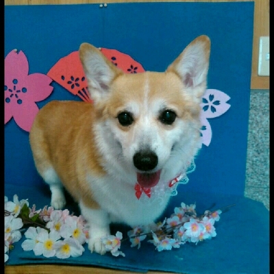 imgPL606247717_1460381132011