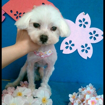 imgPL606247717_1460381132012