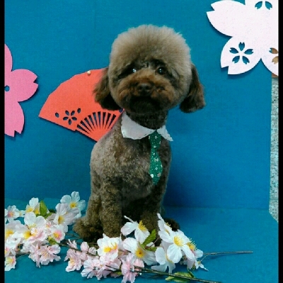 imgPL606247717_1460806007872