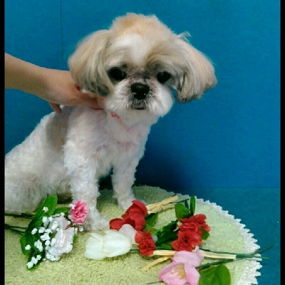 imgPL606247717_1462629260839