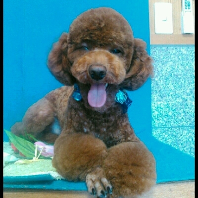 imgPL606247717_1463056675355