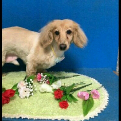 imgPL606247717_1463826928256