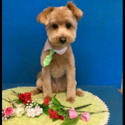 imgPL606247717_1463828212322