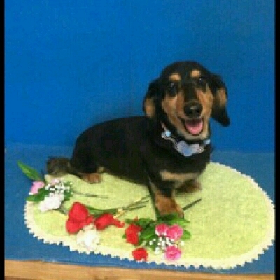 imgPL606247717_1463828212323