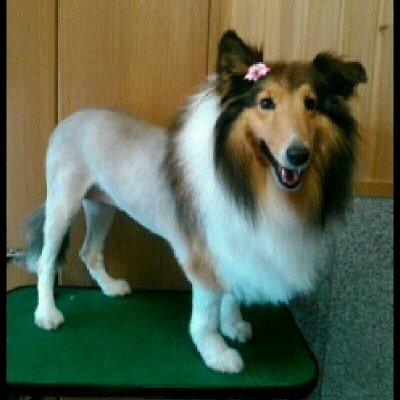 imgPL606247717_1463830520084