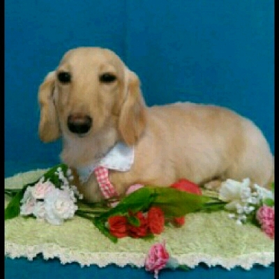 imgPL606247717_1463830520085