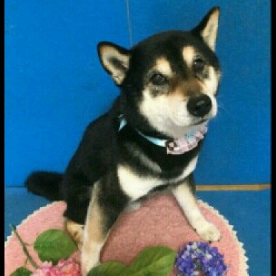 imgPL606247717_1465571272456