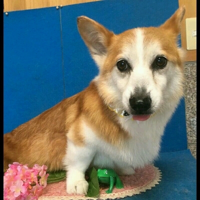 imgPL606247717_1465571272458