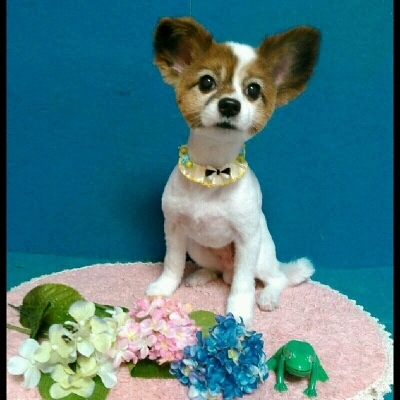 imgPL606247717_1465807860784