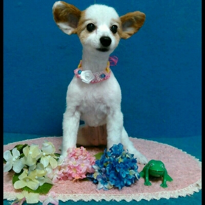 imgPL606247717_1465807860785