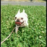 imgPL606247717_1466276026463