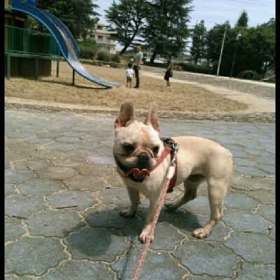 imgPL606247717_1466276026464