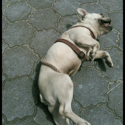 imgPL606247717_1466276026465