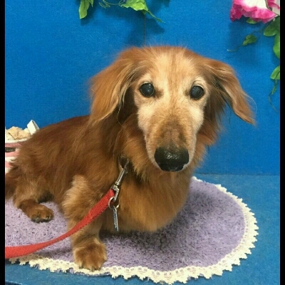 imgPL606247717_1467982273619