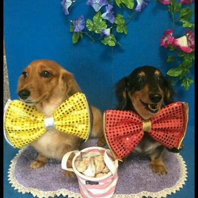 imgPL606247717_1467982273620